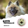 Médaille Eurasier