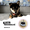 Médaille Shiba inu