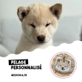 Médaille Shiba inu